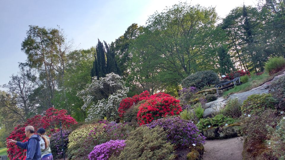 Photo of Göteborg Botaniska Trädgården, Gothenburg, Sweden by theuncanny_traveller