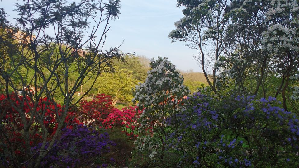 Photo of Göteborg Botaniska Trädgården, Gothenburg, Sweden by theuncanny_traveller