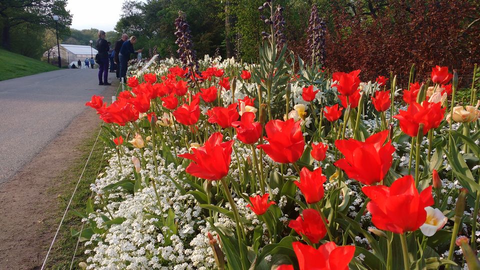 Photo of Göteborg Botaniska Trädgården, Gothenburg, Sweden by theuncanny_traveller