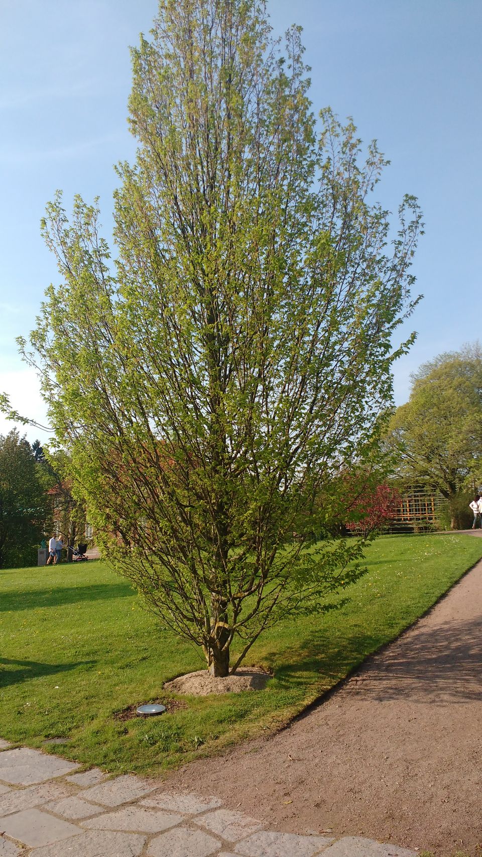 Photo of Göteborg Botaniska Trädgården, Gothenburg, Sweden by theuncanny_traveller