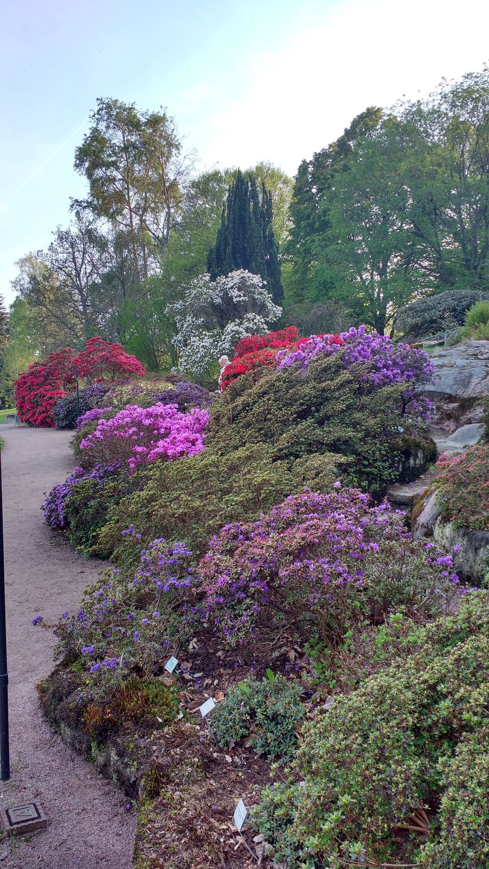Photo of Göteborg Botaniska Trädgården, Gothenburg, Sweden by theuncanny_traveller