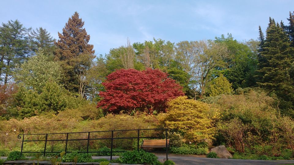 Photo of Göteborg Botaniska Trädgården, Gothenburg, Sweden by theuncanny_traveller