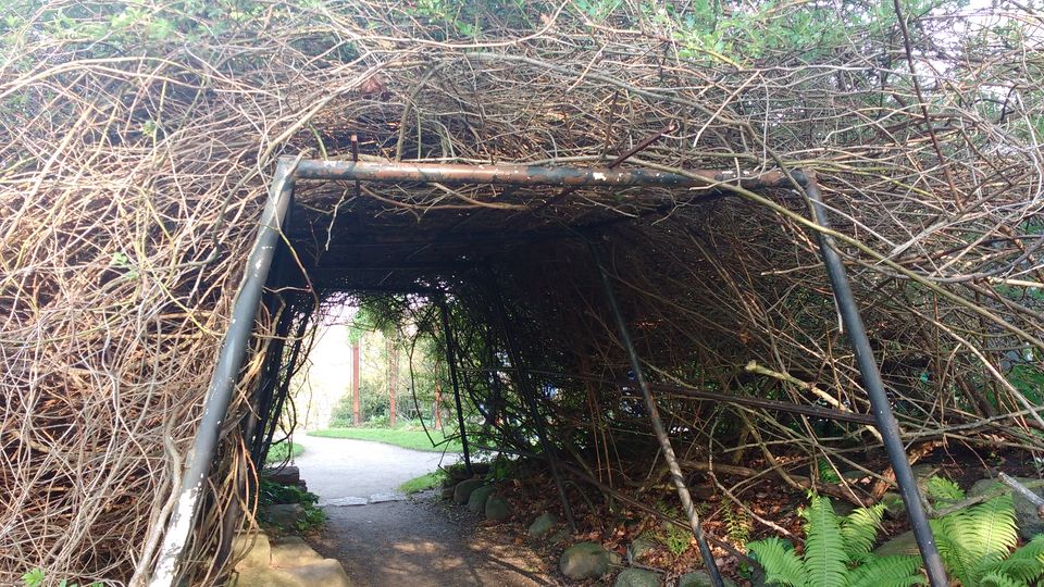 Photo of Göteborg Botaniska Trädgården, Gothenburg, Sweden by theuncanny_traveller