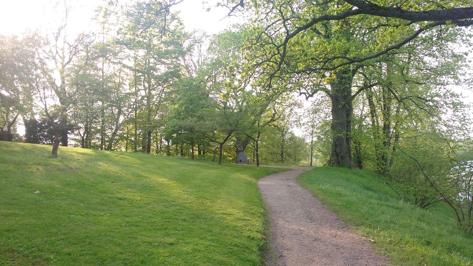 Photo of Göteborg Botaniska Trädgården, Gothenburg, Sweden by theuncanny_traveller