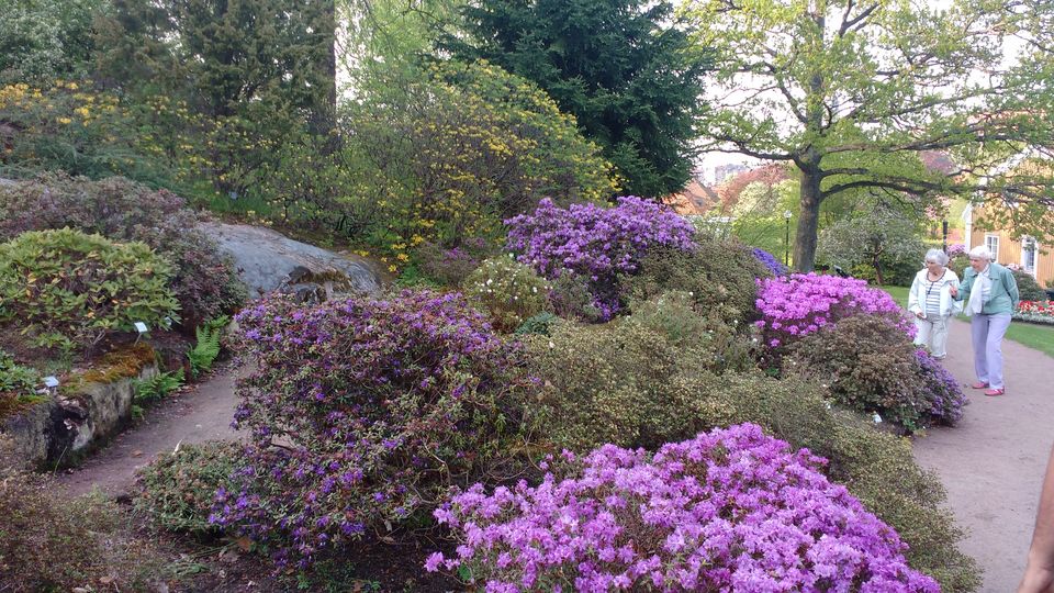 Photo of Göteborg Botaniska Trädgården, Gothenburg, Sweden by theuncanny_traveller