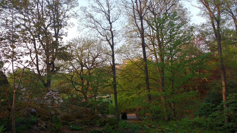 Photo of Göteborg Botaniska Trädgården, Gothenburg, Sweden by theuncanny_traveller