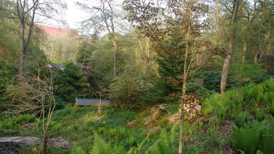 Photo of Göteborg Botaniska Trädgården, Gothenburg, Sweden by theuncanny_traveller