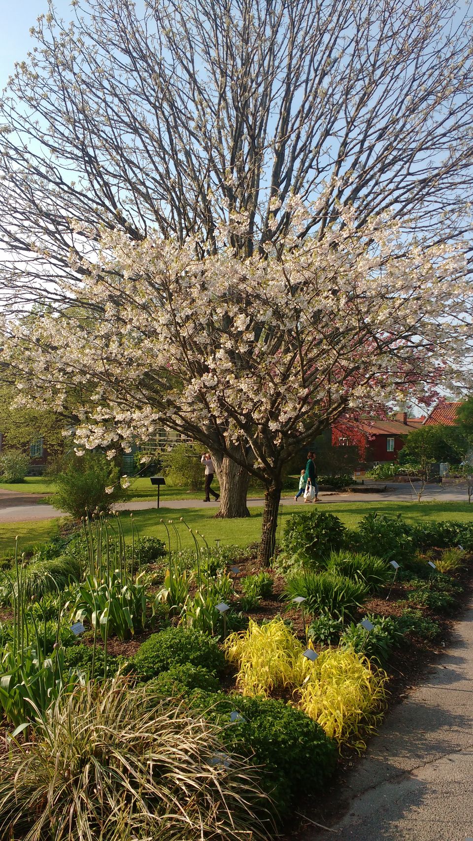 Photo of Göteborg Botaniska Trädgården, Gothenburg, Sweden by theuncanny_traveller