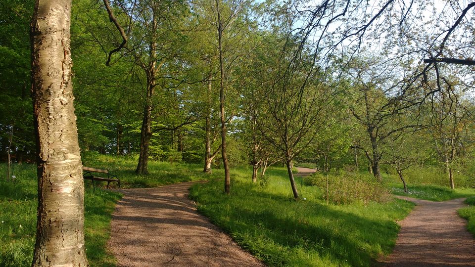 Photo of Göteborg Botaniska Trädgården, Gothenburg, Sweden by theuncanny_traveller