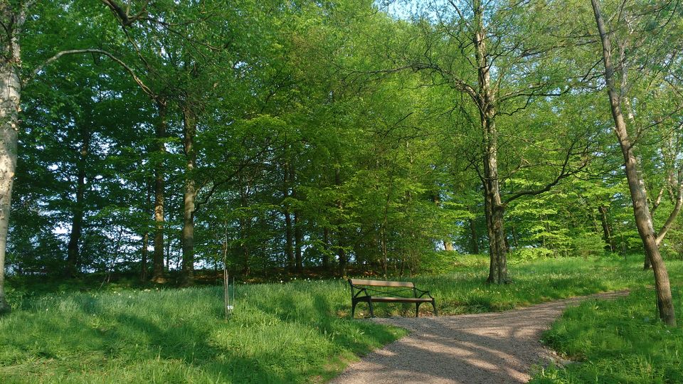Photo of Göteborg Botaniska Trädgården, Gothenburg, Sweden by theuncanny_traveller
