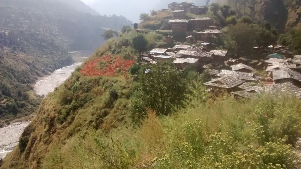 Photo of Rendezvous at Khanna Village in Mori, Uttarkashi 4/4 by Travelinyourmind
