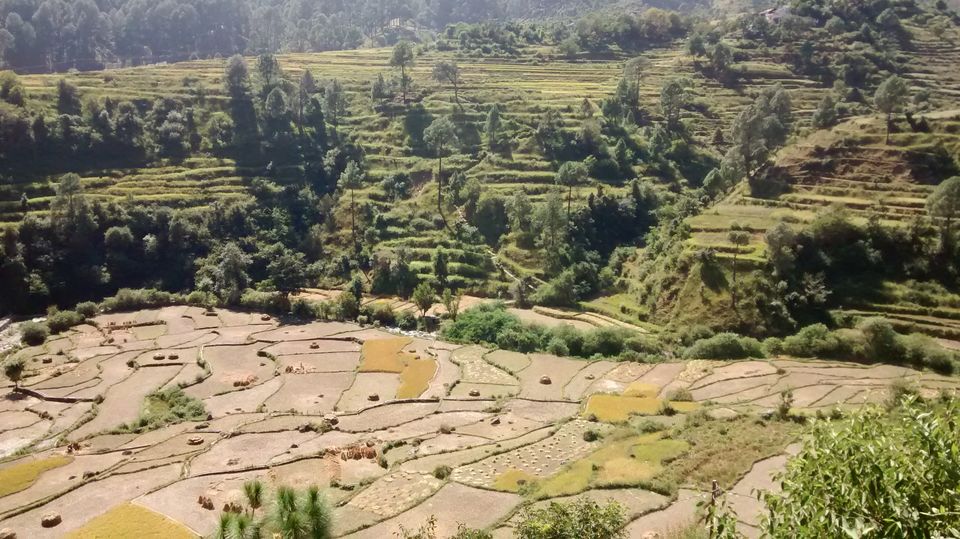 Photo of Virtual Traveling of Dunda, Uttarkashi - Captured in 5 picturesque photographs 3/6 by Travelinyourmind