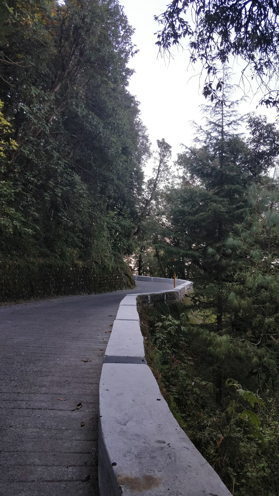 Photo of Lal Tibba Scenic Point, Naya Mohalla, Mussoorie, Uttarakhand, India by Yamini Gupta