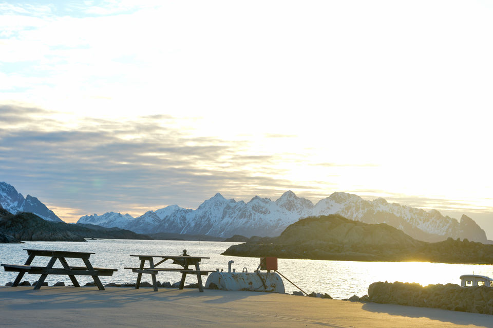 Photo of Why a road trip to Lofoten Islands, Norway has to be on everyone's bucket-list! by Yamini Gupta