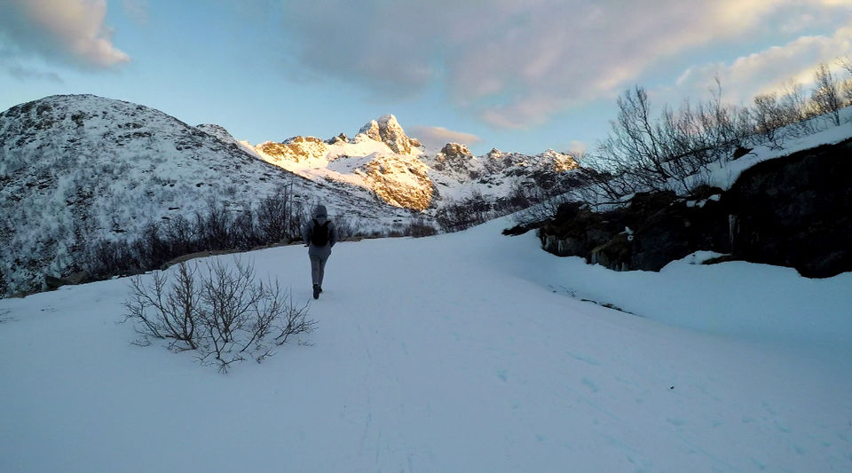 Photo of Why a road trip to Lofoten Islands, Norway has to be on everyone's bucket-list! by Yamini Gupta