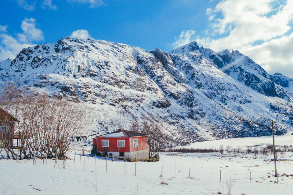 Photo of Why a road trip to Lofoten Islands, Norway has to be on everyone's bucket-list! by Yamini Gupta