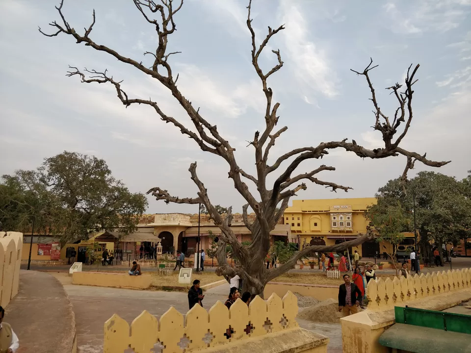 Photo of Nahargarh Fort, Jaipur, Rajasthan, India by Yamini Gupta
