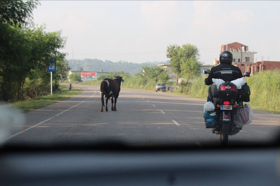 Photo of Chandigarh, India by Writer Sam