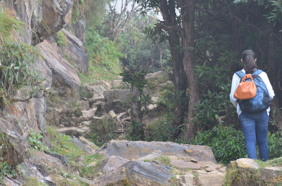 Photo of Triund, Kangra, Himachal Pradesh, India by priyanka chaudhary