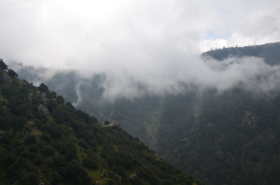 Photo of Enroute Blissfulness: McLeod Ganj by priyanka chaudhary