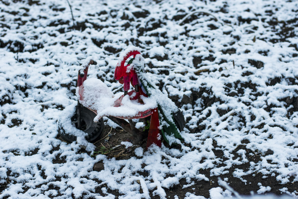 Photo of Tosh, a photo journal.&nbsp; 3/12 by Alakesh