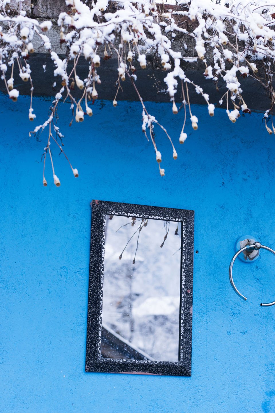 Photo of Tosh, a photo journal.&nbsp; 10/12 by Alakesh