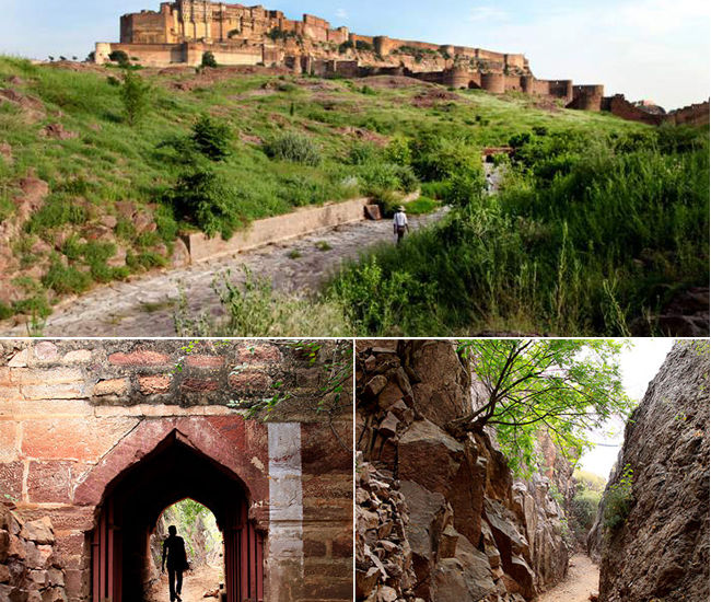 Photo of Rajasthan Heritage Tour 10/26 by Dharmendra Chahar