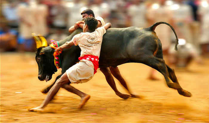 Photo of 12 Most Unusual Rituals And Festivals of India That Will Give You Goosebumps 1/2 by Dharmendra Chahar