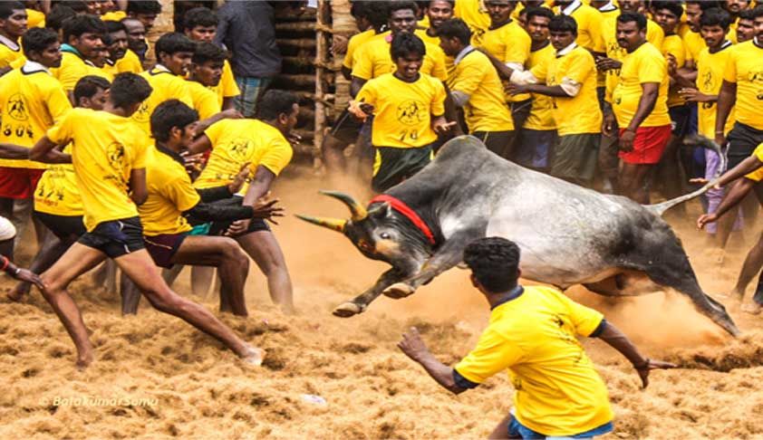 Photo of Tamil Nadu, India by Dharmendra Chahar