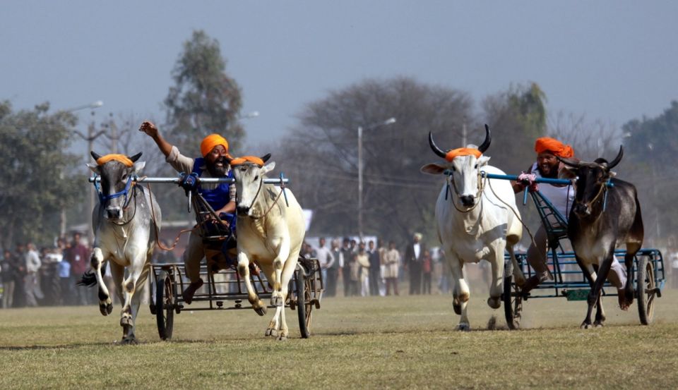 Photo of Nagaland, India by Dharmendra Chahar