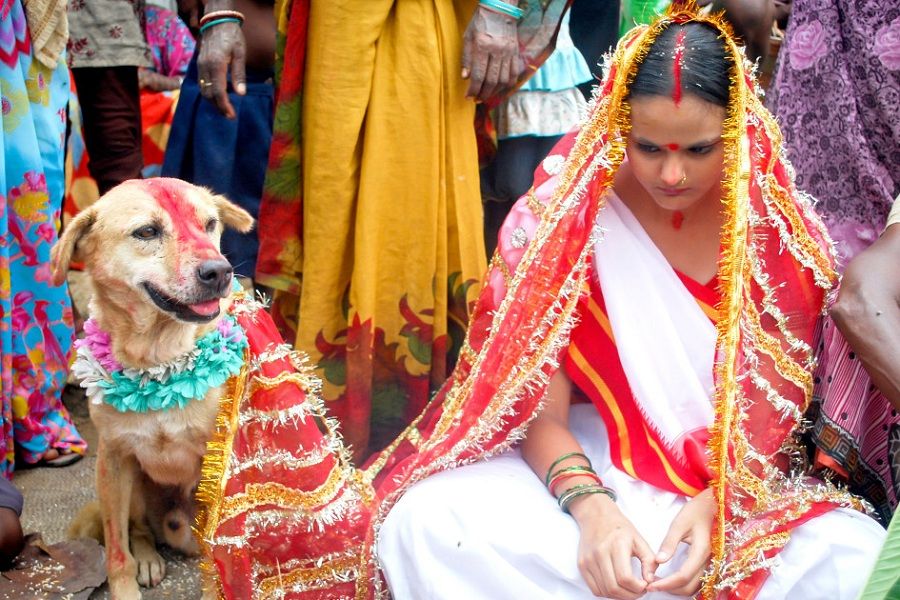 Photo of 12 Most Unusual Rituals And Festivals of India That Will Give You Goosebumps by Dharmendra Chahar