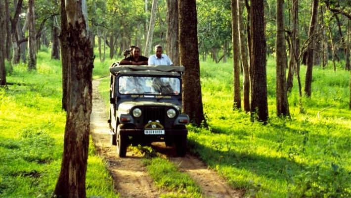 Photo of Ranthambore Tiger Reserve, Sawai Madhopur, Rajasthan, India by Dharmendra Chahar