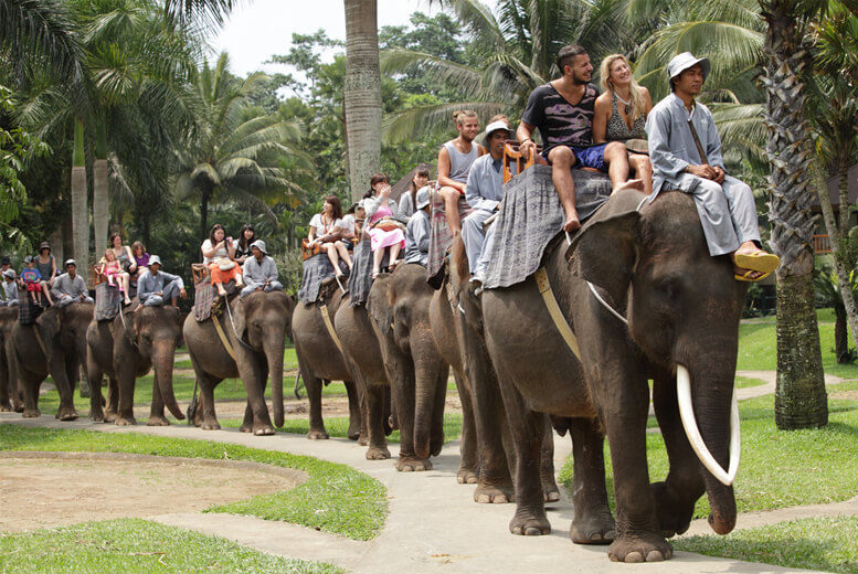 Photo of 6 To see wildlife travel destinations in India 3/8 by Dharmendra Chahar