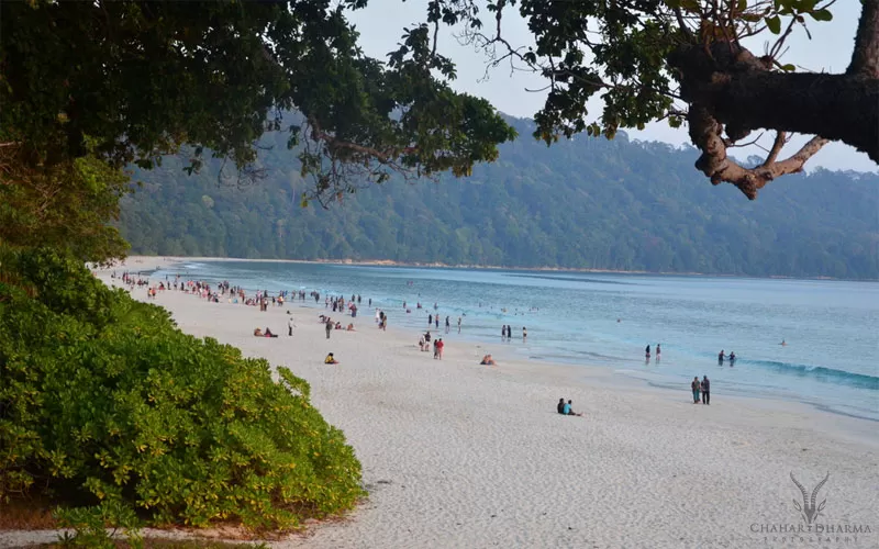 Photo of Radhanagar Beach, Andaman and Nicobar Islands by Dharmendra Chahar
