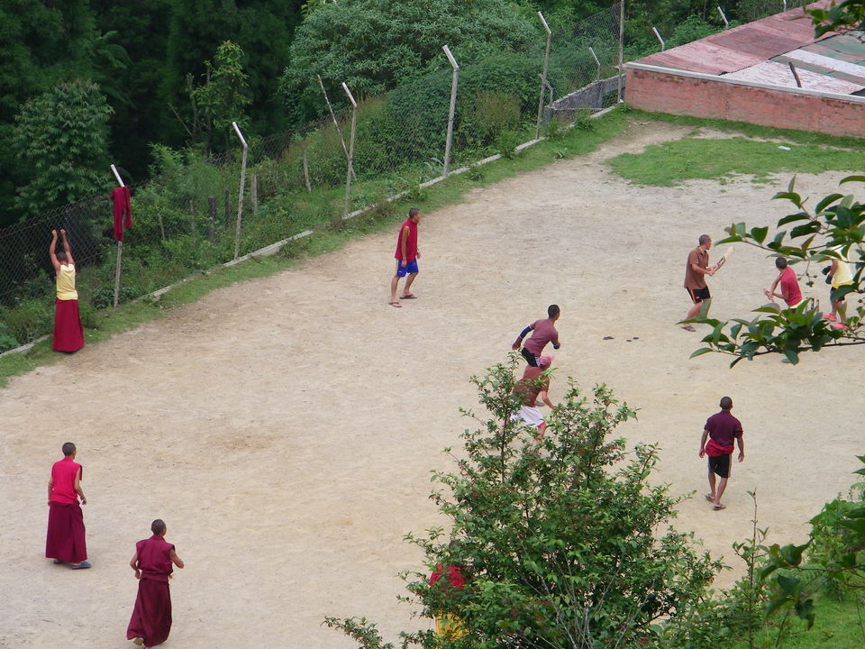 Photo of Darjeeling and Siliguri, India-June, 2012 by Arjun Chaudhuri