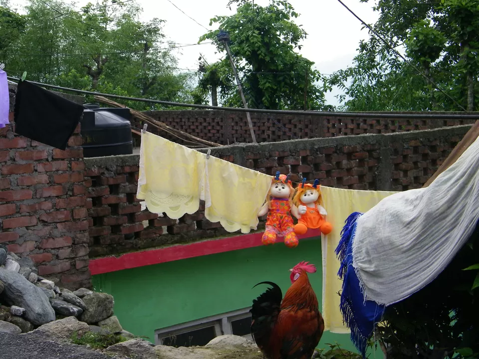 Photo of Kalimpong, West Bengal, India by Arjun Chaudhuri