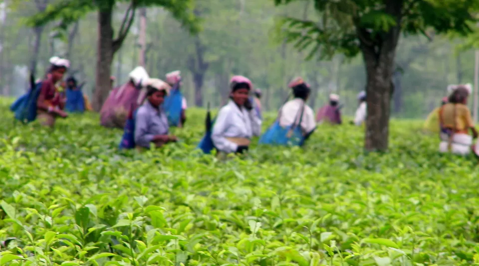 Photo of Siliguri, West Bengal, India by Arjun Chaudhuri