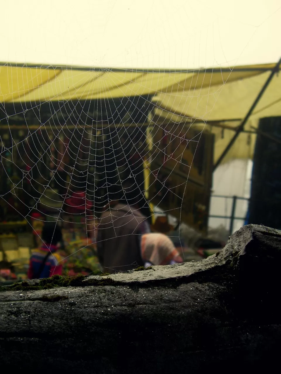 Photo of Padmaja Naidu Himalayan Zoological Park, Jawahar Parbat, Darjeeling, West Bengal, India by Arjun Chaudhuri