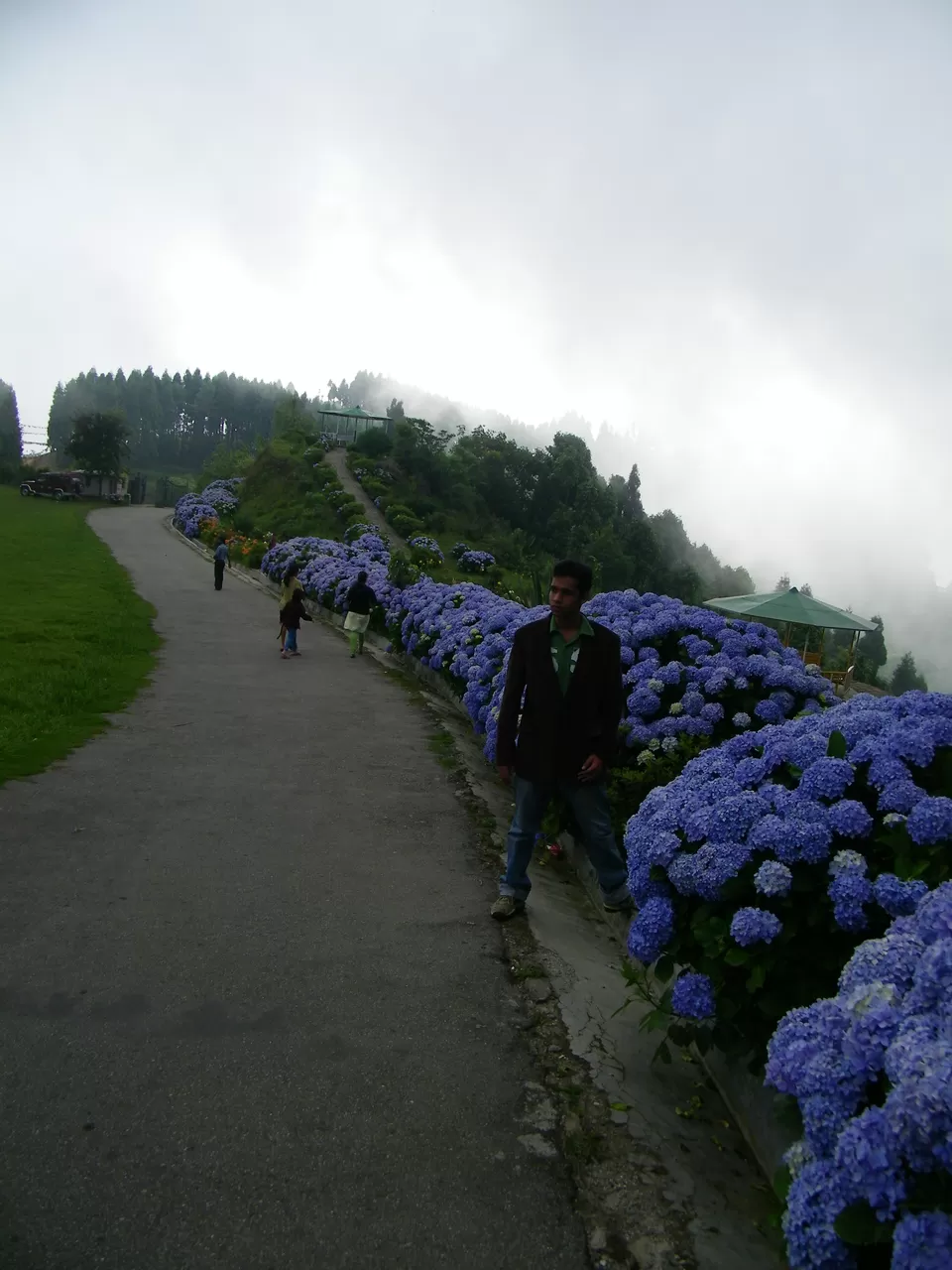 Photo of Delo Tourist Lodge, Deolo, Kalimpong, Darjeeling, West Bengal, India by Arjun Chaudhuri