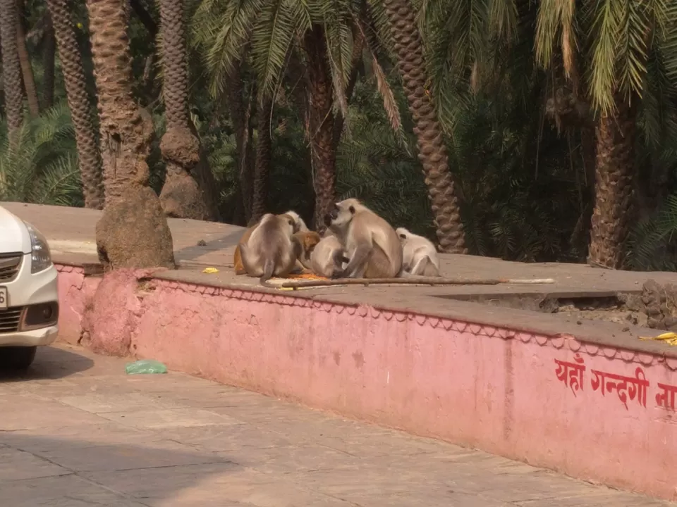 Photo of Pandupol Hanuman Ji Mandir, Kraska, Rajasthan, India by Tatwadarsi Dash