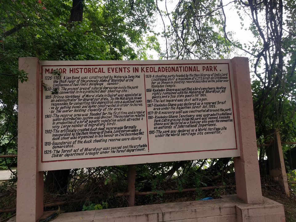Photo of Keoladeo-A close gateway to nature by Tatwadarsi Dash