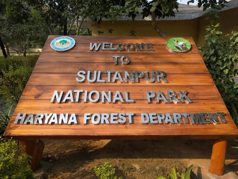 Photo of Sultanpur National Park, Gurugram, Haryana, India by Tatwadarsi Dash