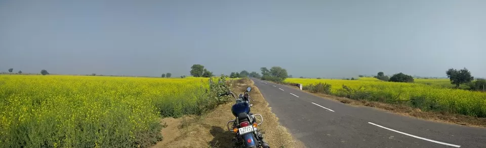 Photo of Farukh Nagar, Haryana, India by Tatwadarsi Dash