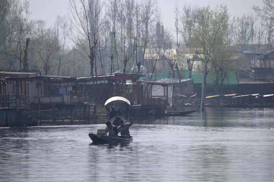 Photo of Dal Lake, Srinagar by Tatwadarsi Dash