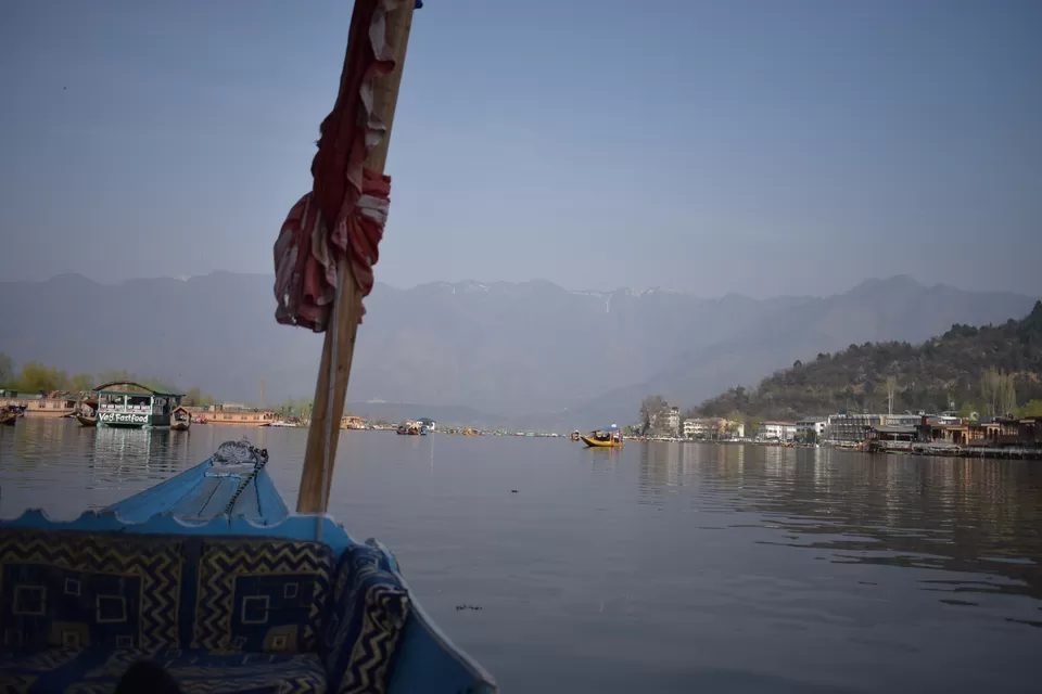 Photo of Dal Lake, Srinagar by Tatwadarsi Dash
