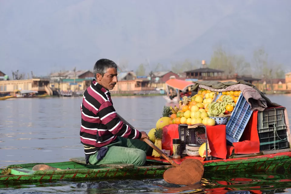 Photo of Dal Lake, Srinagar by Tatwadarsi Dash