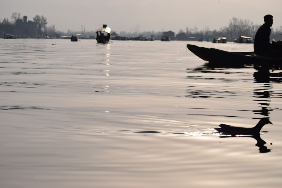 Photo of "Dal Lake" Kashmir : The Paradise on Earth, through my lens ! 1/1 by Tatwadarsi Dash