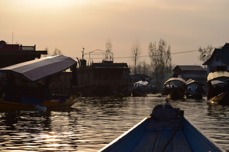 Photo of "Dal Lake" Kashmir : The Paradise on Earth, through my lens ! by Tatwadarsi Dash