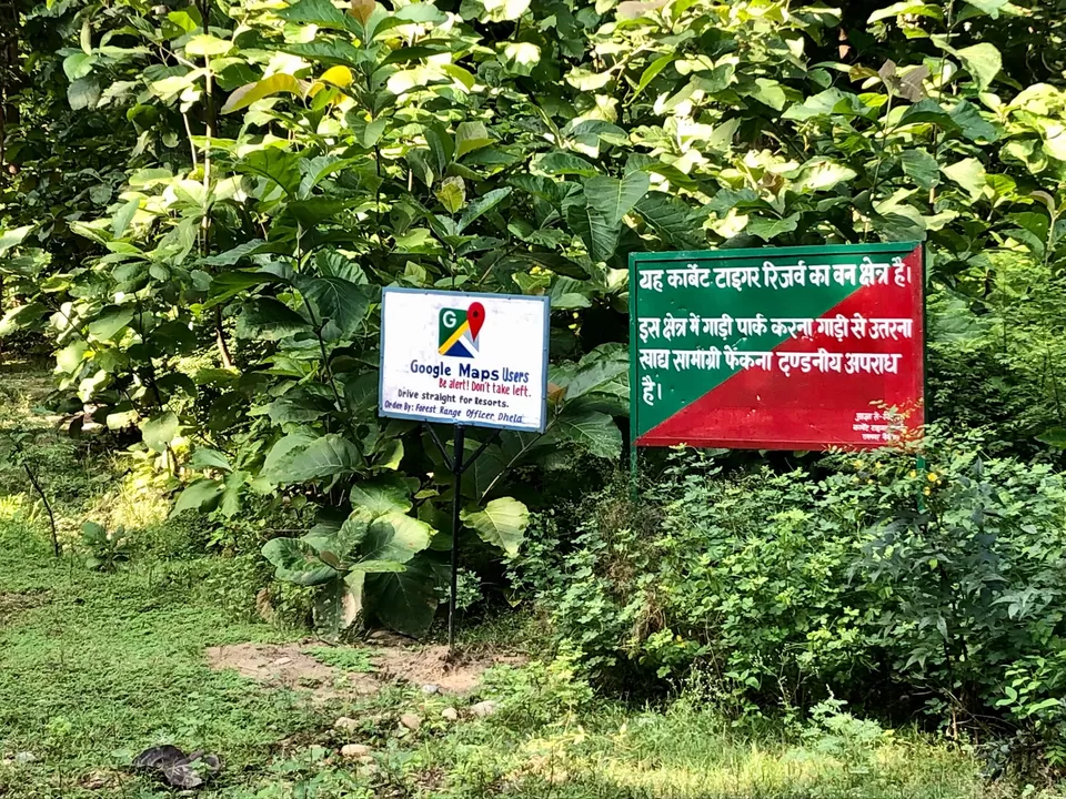 Photo of Jim Corbett National Park, Ramnagar, Uttarakhand, India by Tatwadarsi Dash