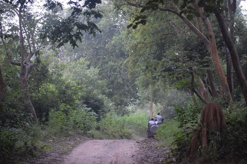 Photo of Jim Corbett National Park, Ramnagar, Uttarakhand, India by Tatwadarsi Dash
